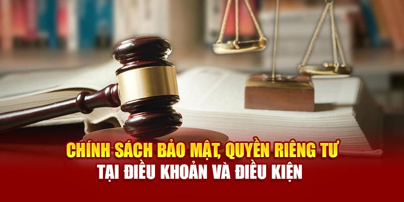 Những điều khoản và điều kiện về tài khoản vô cùng quan trọng cần nắm rõ
